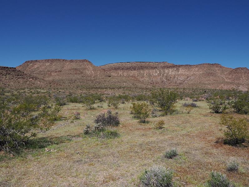 Mojave National Preserve, California (CA): Black Canyon Road: view west