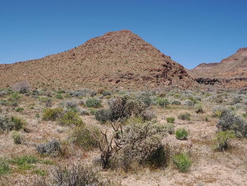 Mojave National Preserve, California (CA): Black Canyon Road: view northwest