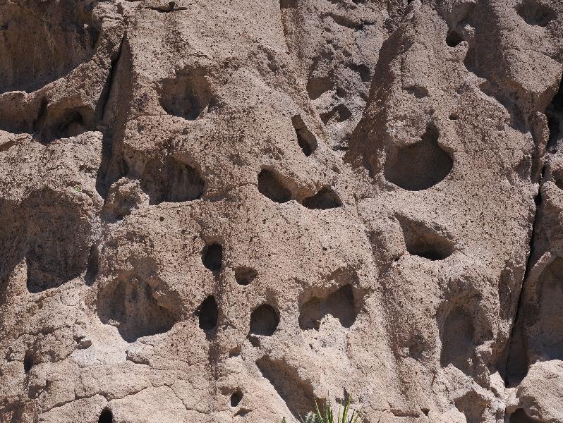 Mojave National Preserve, California (CA): Rings Loop Trail: holes in the rock