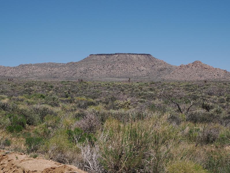 Mojave National Preserve, California (CA): Black Canyon Road: view north or northeast