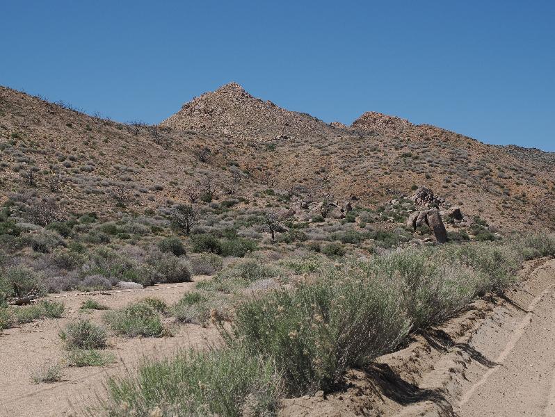 Mojave National Preserve, California (CA): Black Canyon Road: view