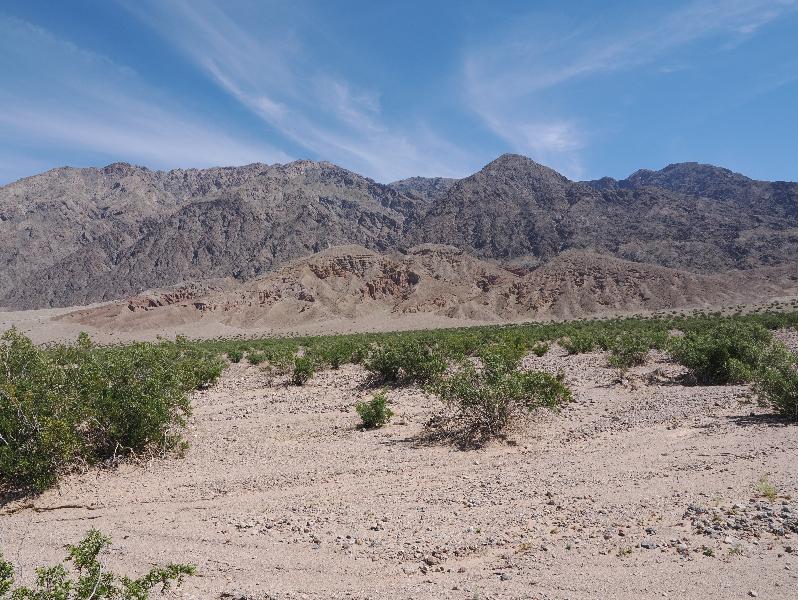Death Valley National Park, California (CA): Badwater Road: view northeast (towards Room Canyon)