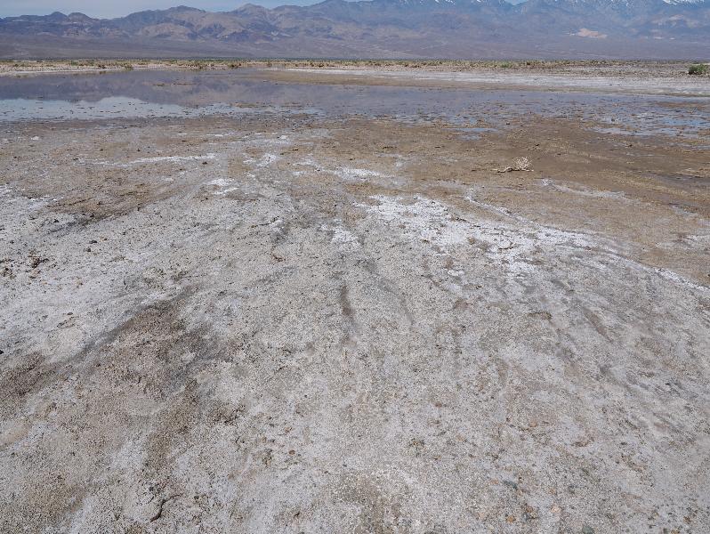 Death Valley National Park, California (CA): Badwater Road: view west to salt flats and mountains