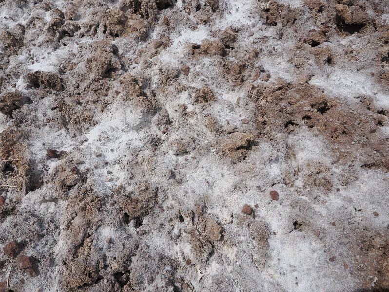 Death Valley National Park, California (CA): Badwater Road: lumpy salt flat