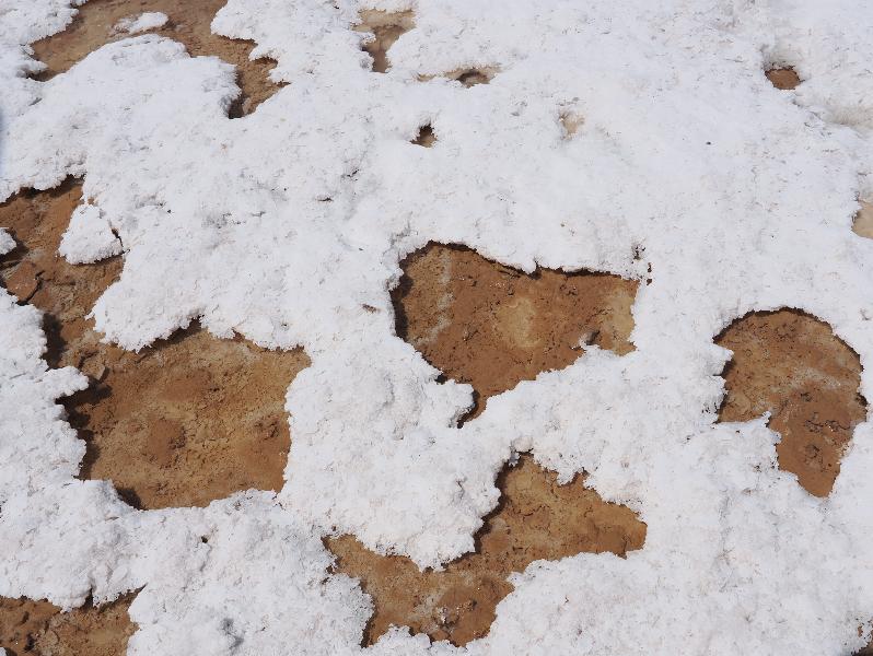 Death Valley National Park, California (CA): Badwater Road: salt and sand