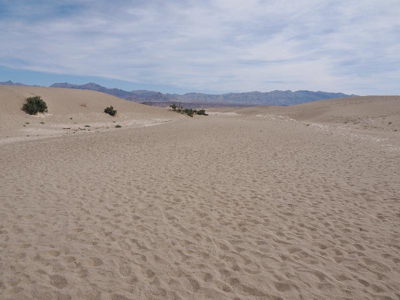 Death Valley National Park, California (CA): Mesquite Flat Sand Dunes: view