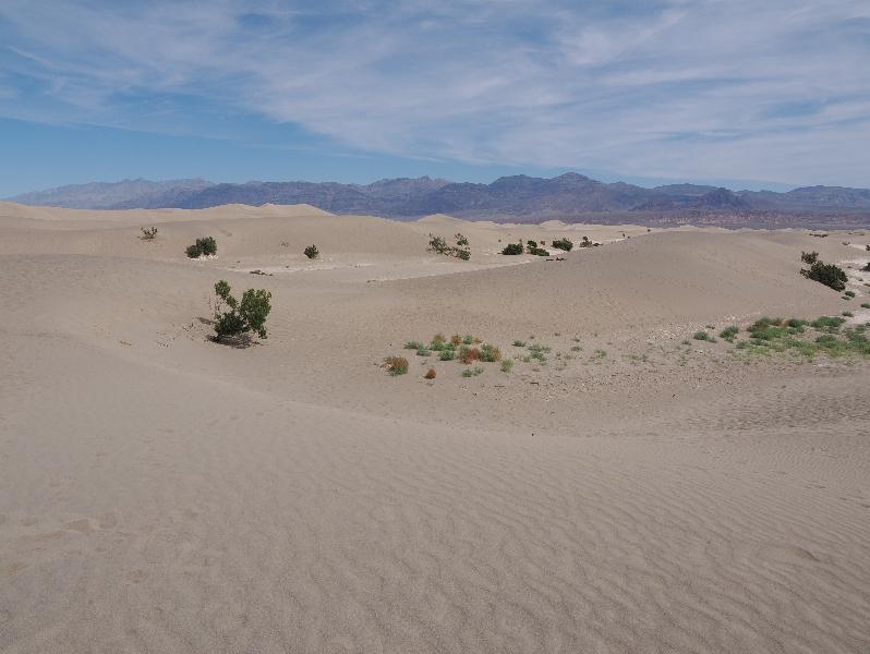 Death Valley National Park, California (CA): Mesquite Flat Sand Dunes: view
