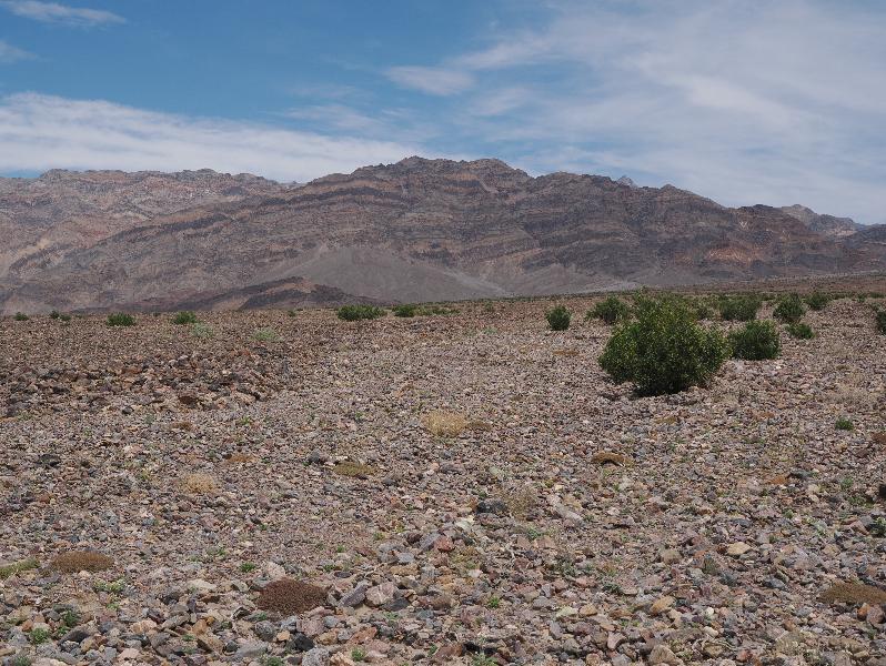 Death Valley National Park, California (CA): Scotty's Castle Road: view north
