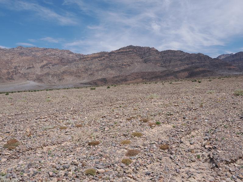 Death Valley National Park, California (CA): Scotty's Castle Road: view northeast