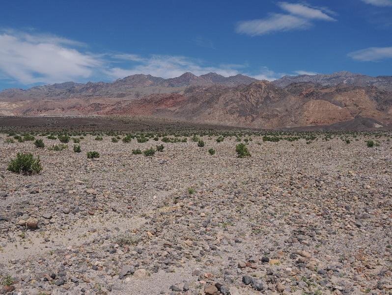 Death Valley National Park, California (CA): Scotty's Castle Road: view northeast