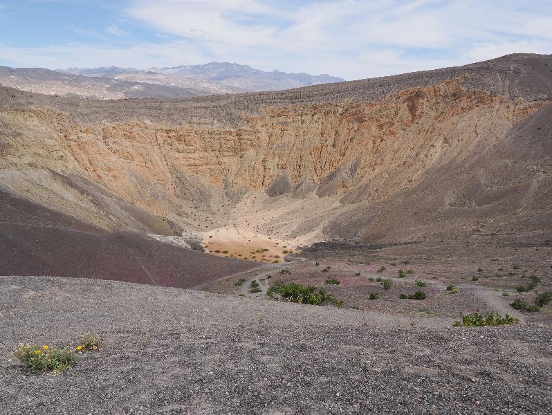 Death Valley National Park, California (CA): Ubehebe Crater: view of crater (including some purple flowers)