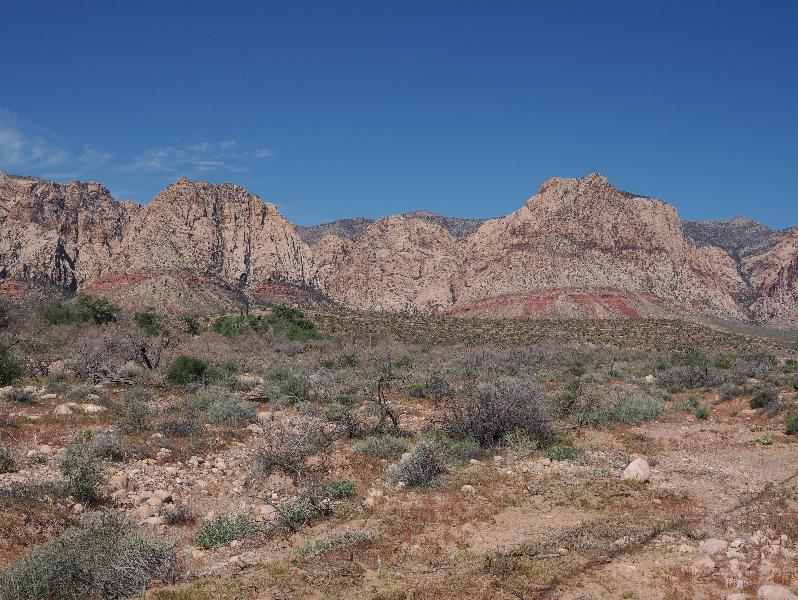 Las Vegas, Nevada (NV): Route 159 / Red Rock Canyon Road: view west