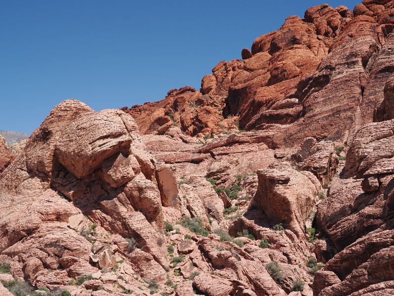 Red Rock Canyon National Conservation Area, Nevada, NV: Calico Hills I: view northwest