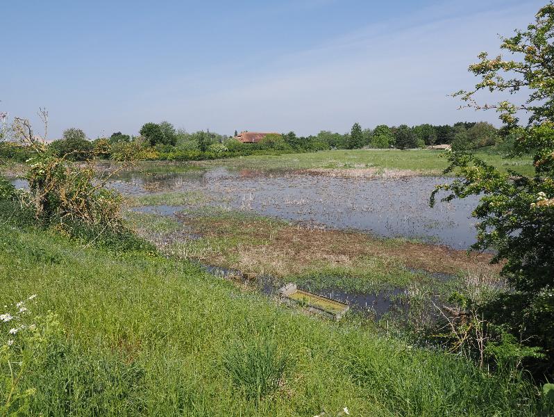 Cambridge, England: Eddington: temporary pond from all the rain