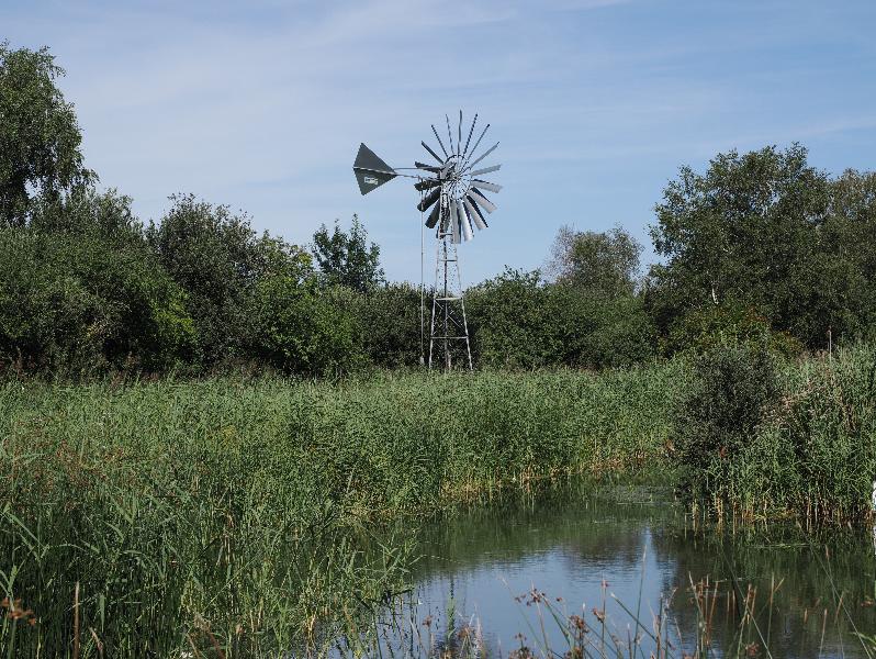 Wicken, England: Wicken Fen: modern windmill