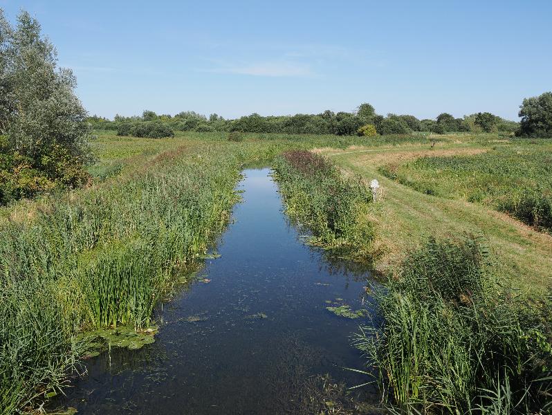 Upware, England: Burwell Lode: waterway