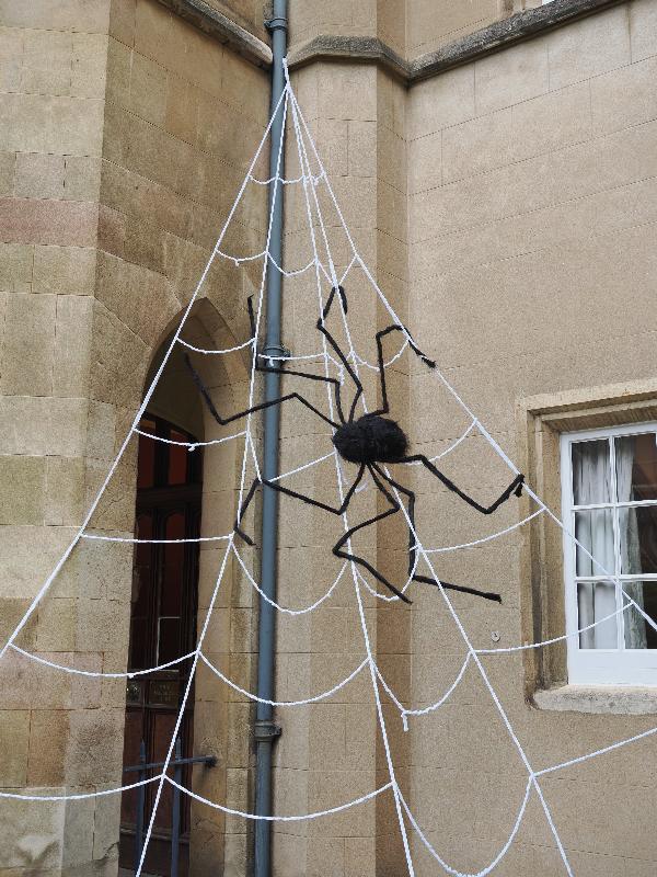 Cambridge, England: Sidney Sussex College: Halloween spider and web