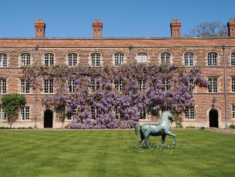 Cambridge, England: Jesus College: wisteria