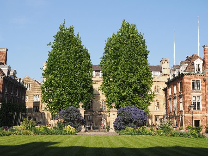 Cambridge, England: St Catharine's College: Poplar trees