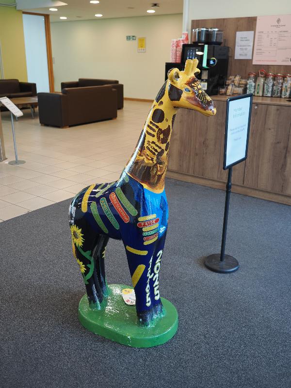 Norwich, England: Nuffield Health: Giraflegg (Flegg High Ormiston Academy)