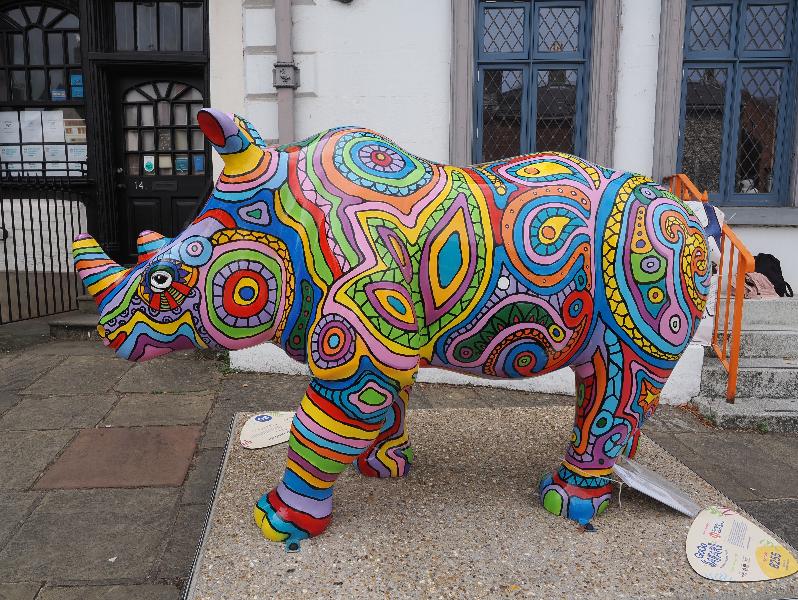 Norwich, England: Tombland: Rhinodelic (Matt Reeve)