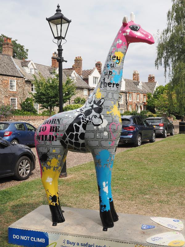 Norwich, England: Norwich Cathedral, Lower Close Lawn: Giraffiti (Donna Newman)