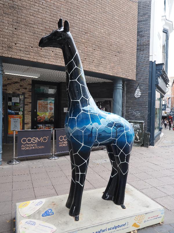 Norwich, England: London Street: Savannah Moon (Iliona Clark)