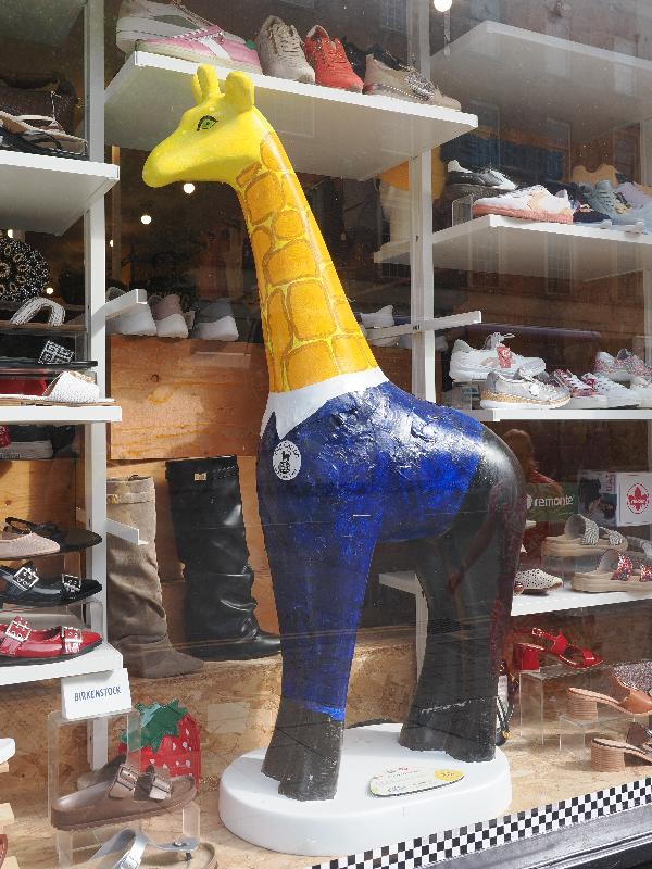 Norwich, England: Mr Shoes: The Imposter! (Old Catton Junior School)