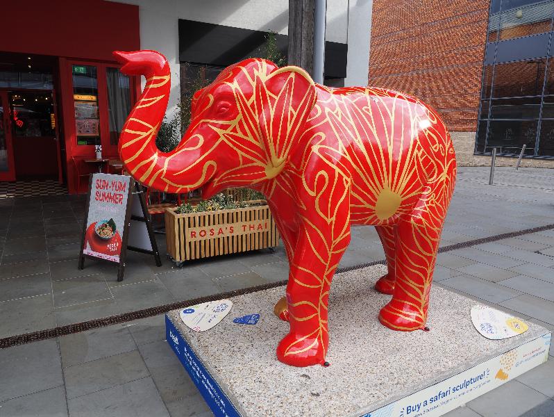 Norwich, England: Chantry Place Square: Gold Leaf (Reilly Creative)