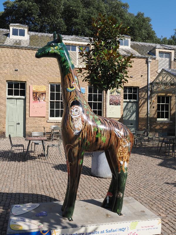 Holkham, England: Holkham Hall: Woody (Jina Gelder Illustration)