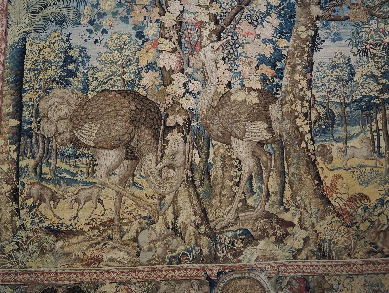 Isola Bella, Italy: Palazzo Borromeo, La Galleria degli Arazzi (The Tapestry Gallery): two ostriches, detail (16th century Flemish)
