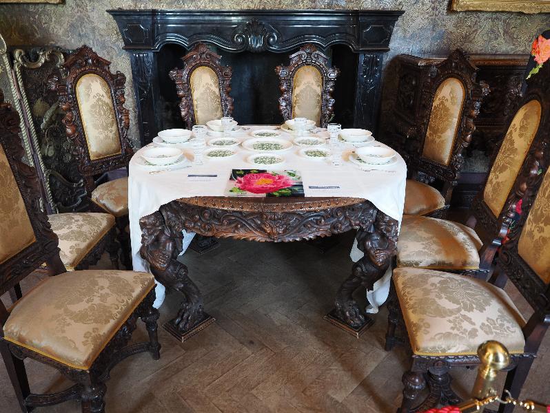 Varenna, Italy: Villa Monastero, Black Room: dining table