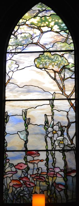 landscape with poppies