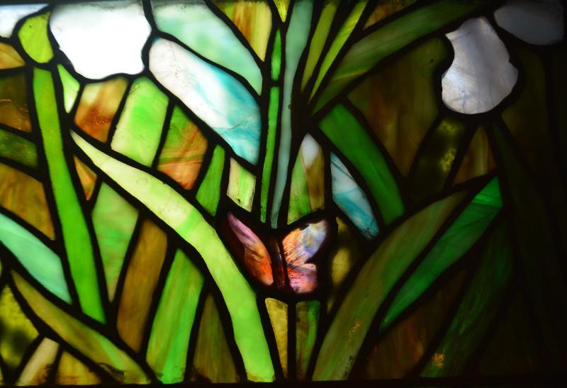 Resurrection Lilies