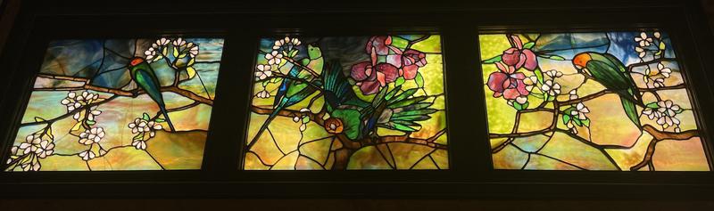 Parrots