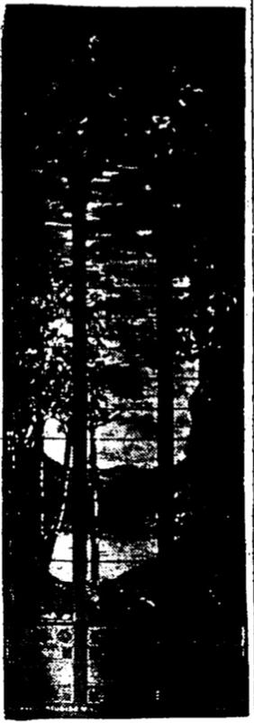 Morton Memorial Window:  Eventide