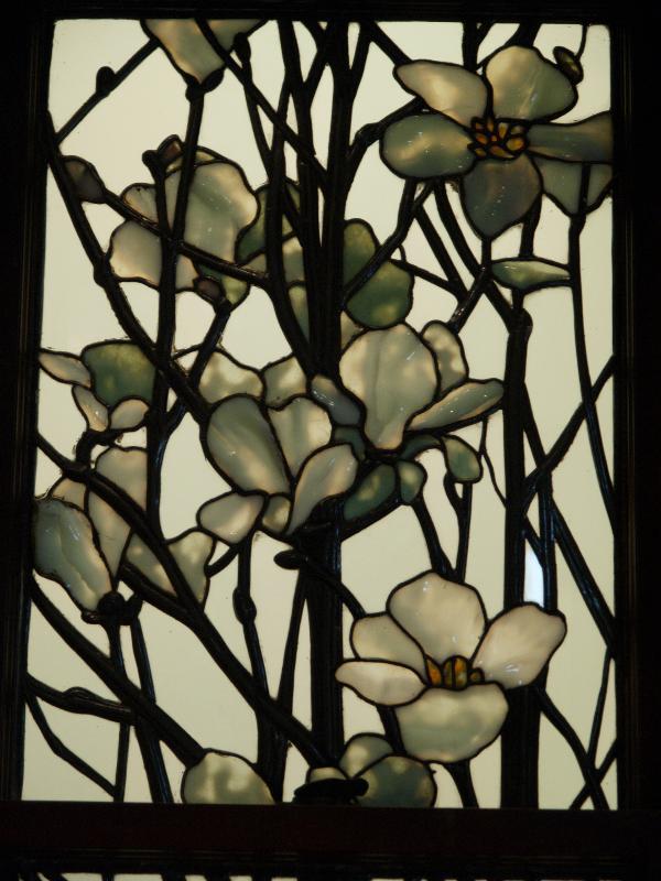 Magnolia and Apple Blossom